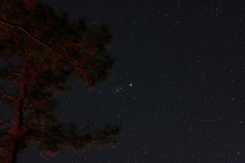 Mars and the Beehive (M44); exp 60 sec; ISO800; Canon 20Da w/ 50mm lens at f/3.2; 4-14-10; Cherry Stone Campground; Published in APOD April 30, 2010