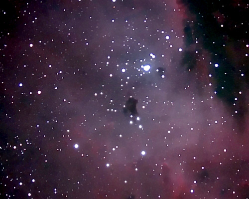 NGC281 (Pac Man neb); mag 7.4; size 4'; 45 min (54x50sec); LX200@f/2.4; ISO 1600; IDAS; 9-5-10; Coyle