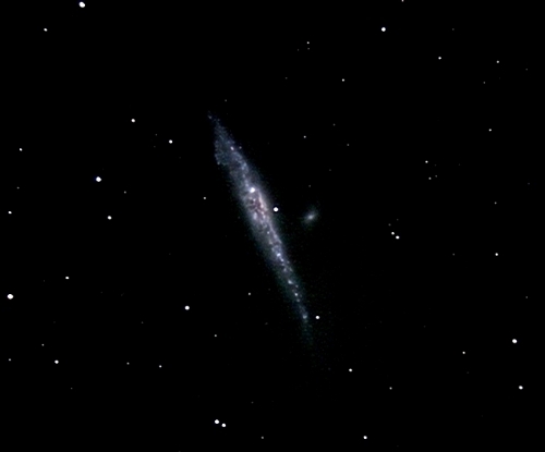 NGC4631/4627 (The Whale); mag 9.3; size 14x2'; 20 min (40x30sec); LX200 10 @f/2.4; ISO 1600; IDAS; 6-18-07; Coyle